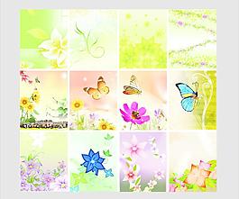 蝴蝶 花圖片