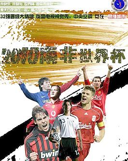 2010南非世界杯圖片