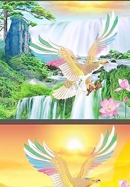 雄鹰图片
