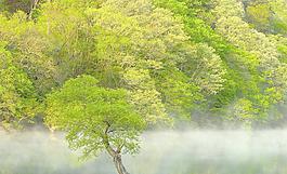 風(fēng)景畫圖片