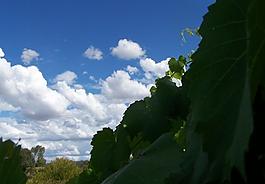 創(chuàng)意天空圖片