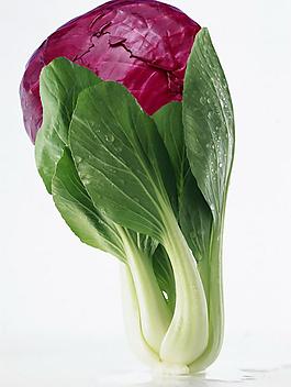 创意青菜图片
