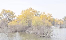 風(fēng)景畫圖片