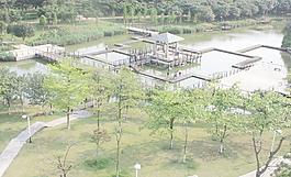 風(fēng)景畫圖片