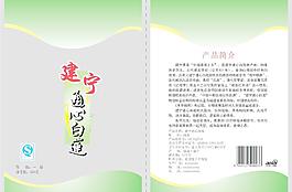 通心白蓮圖片