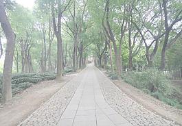 風(fēng)景畫圖片