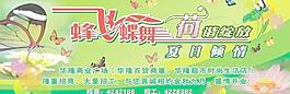 華隆蜂飛蝶舞圖片