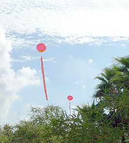 女排基地圖片