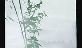 水墨竹子風(fēng)景畫視頻圖片
