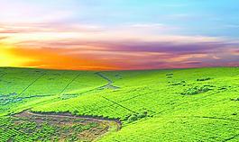 自然風(fēng)景畫圖片
