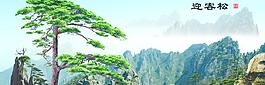 迎客松风景画图片