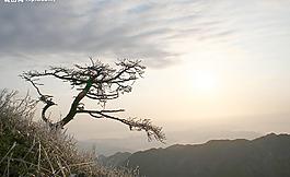 日出圖片
