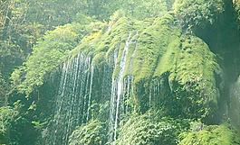 綠色圖片