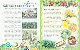 正中水鎮甜玉米宣傳圖片