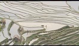 山水梯田視頻素材圖片