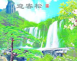 迎客松圖片