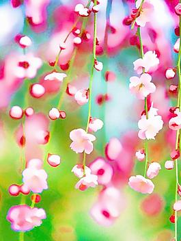 風(fēng)景裝飾畫圖片