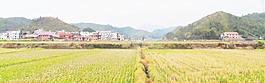 鄉(xiāng)村風景圖片
