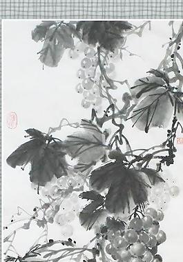 國畫葡萄圖片
