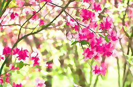 風(fēng)景裝飾畫圖片