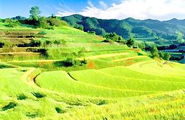 風(fēng)景裝飾畫圖片