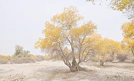 風(fēng)景圖圖片