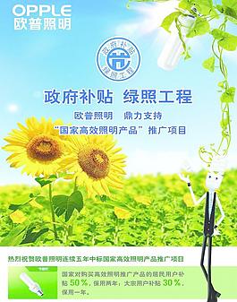歐式照明宣傳單圖片
