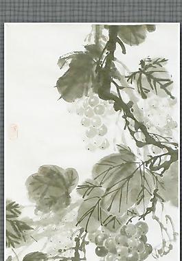 國畫葡萄圖片