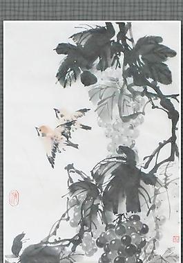 國畫葡萄圖片
