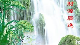迎客松圖片
