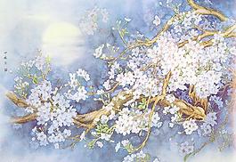 國畫之梅花圖片