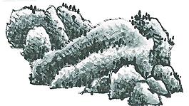 水墨山水畫圖片