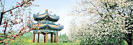 百花亭圖片