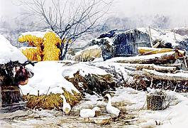 小院圖片