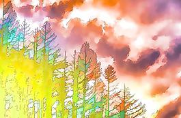 風(fēng)景裝飾畫圖片