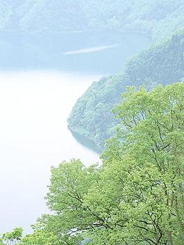 高山樹林河水圖片