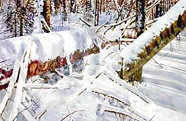 密林雪深图片