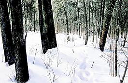 山林雪圖片