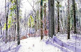 雪林曲圖片