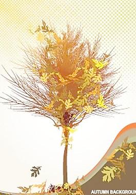 歐式 花紋 邊框 樹圖片