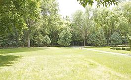 公園景色圖片