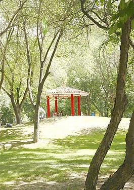 公園景色圖片