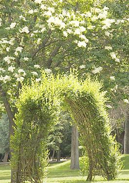 公園景色圖片