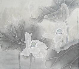 荷花图片