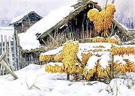 小寒圖片
