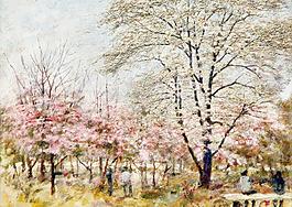 中山公園梨花圖片