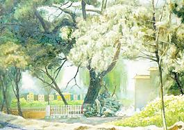 綠色村莊圖片