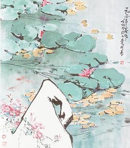 睡莲图片