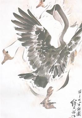 盡舞圖片
