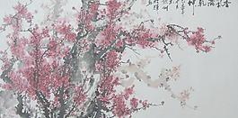 香氣滿乾坤圖片